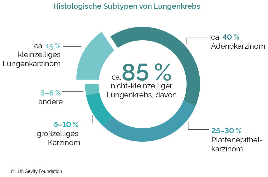 Grafik Lungenkrebs verstehen