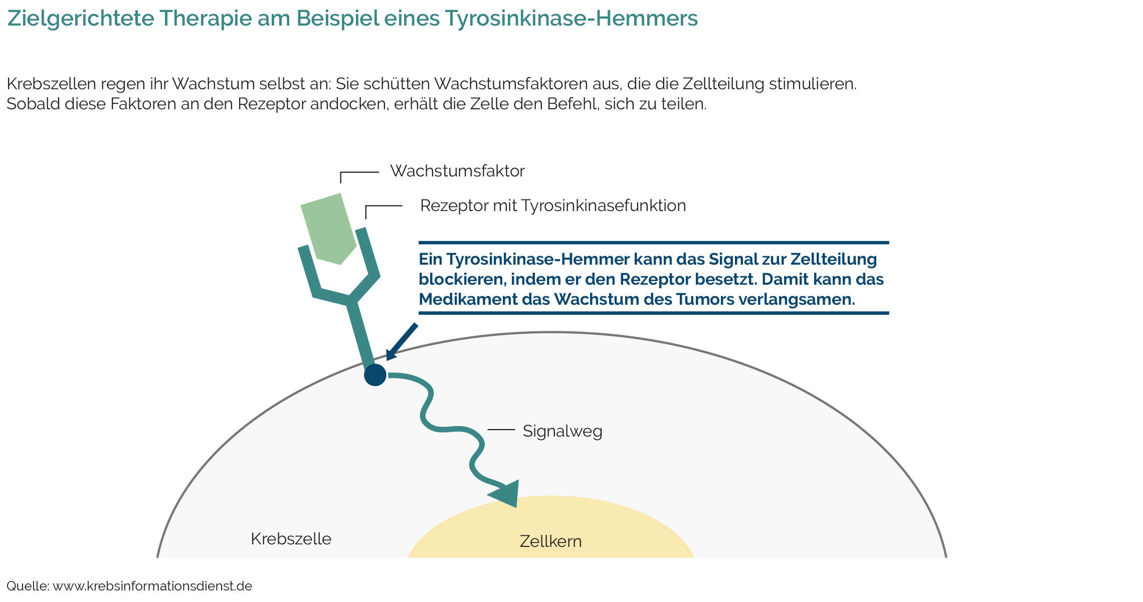 Zielgerichtete Therapien Beispiel Kinasehemmer