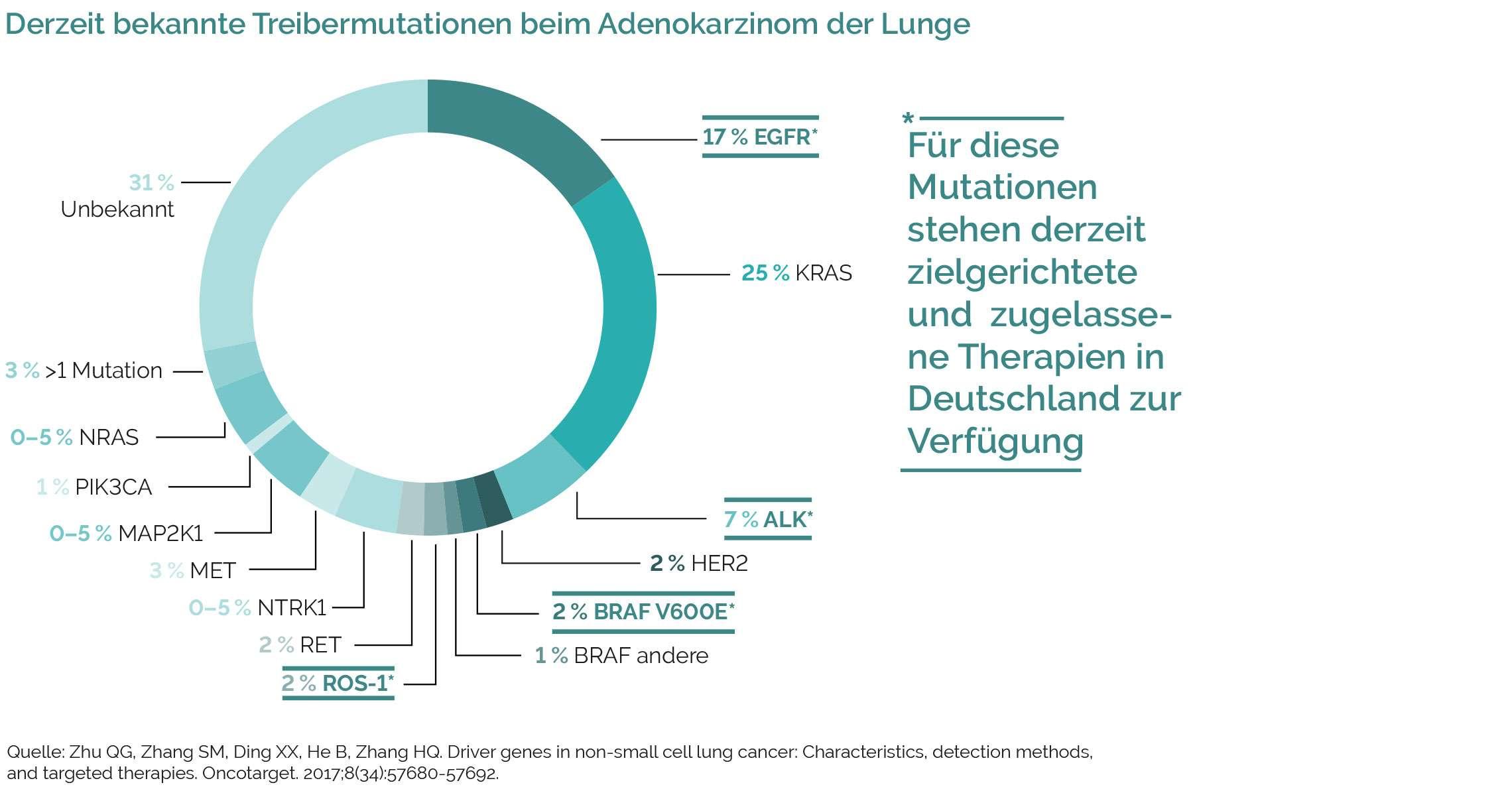 Molekularpathologische Diagnostik