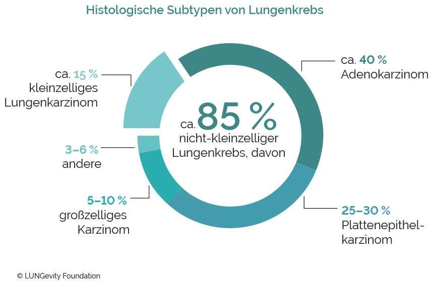 Grafik Histologische Subtypen von Lungenkrebs
