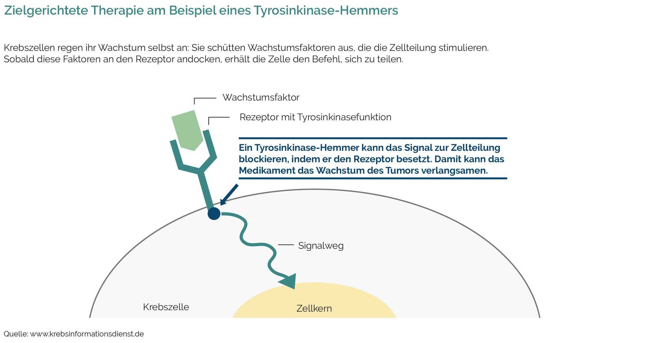 Zielgerichtete Therapien Beispiel Kinasehemmer