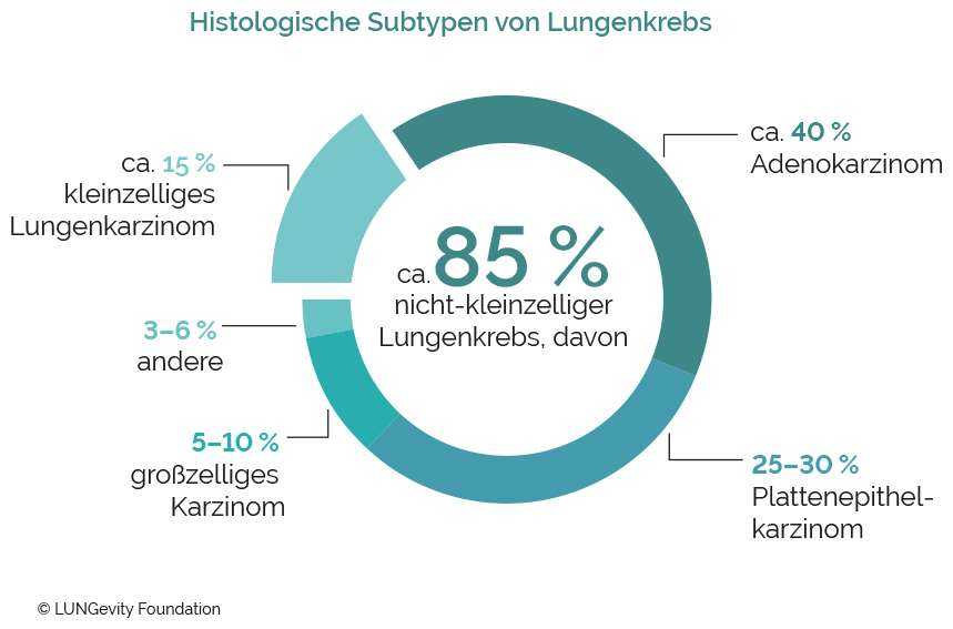 Grafik Histologische Subtypen von Lungenkrebs