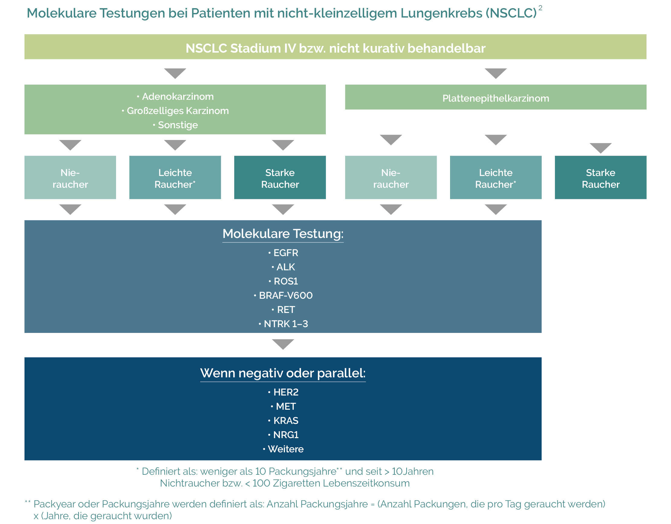 Schematische Darstellung der Molekularpathologische Diagnostik